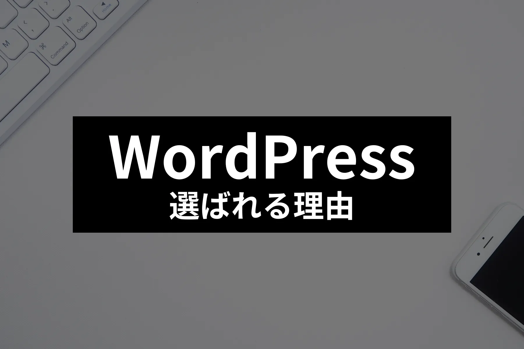 ブログ運営にWordPressが選ばれる5つの理由【知らなきゃ損】